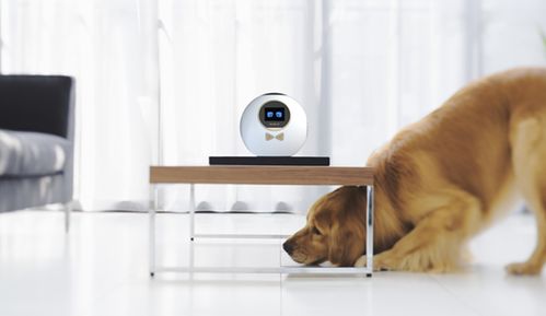 语音助手 智能家居新终端引领未来生活变革