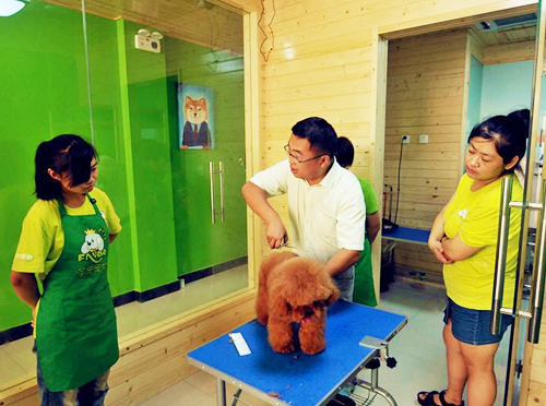 广州宠物店加盟指南 精选可靠的宠物服务品牌