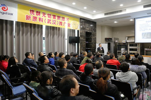 新材料技术推广服务 开启创新赋能新篇章